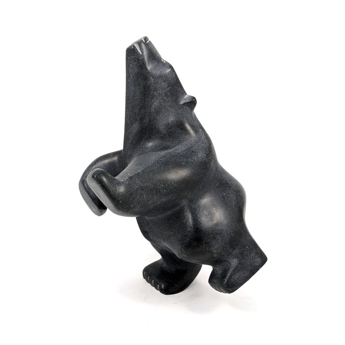 Dancing Bear