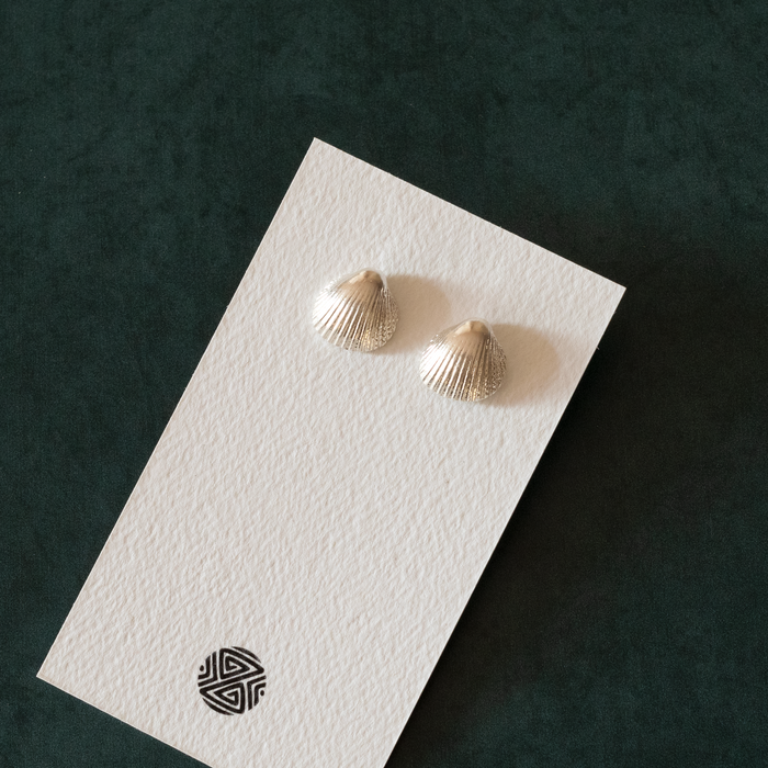 Seashell Earrings