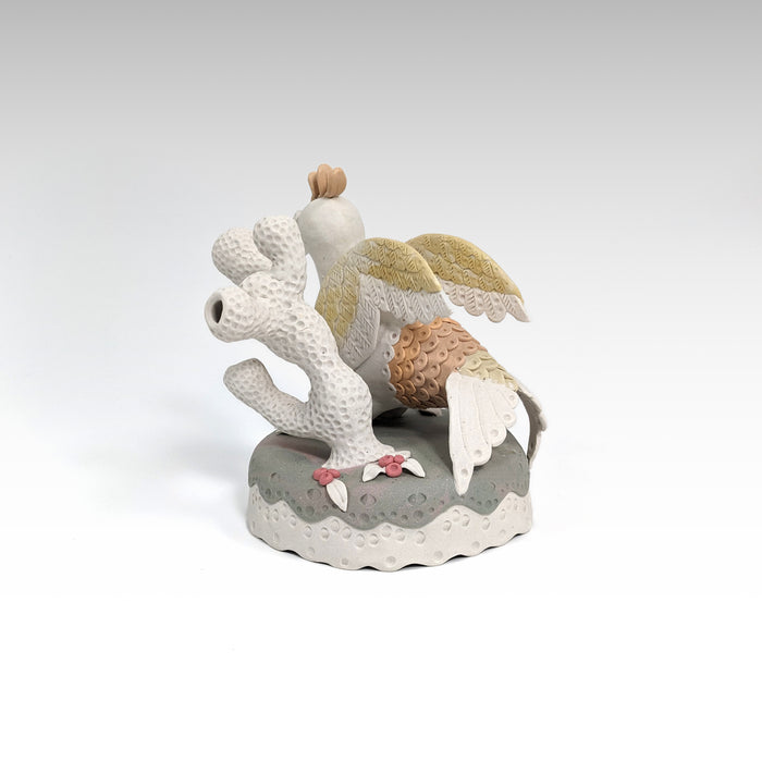 Becu Relaxes with their Coral