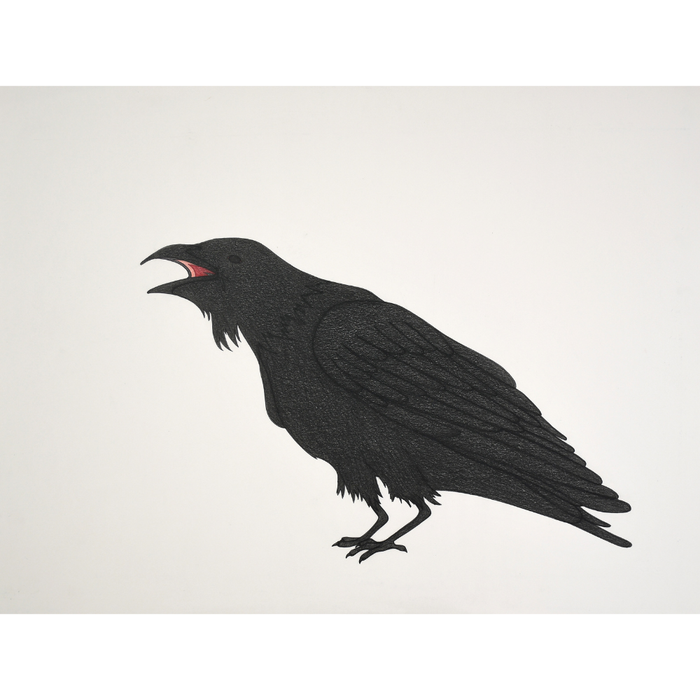 Original Drawing - Black Raven