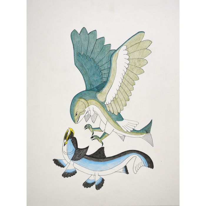 Original Drawing Imagination Breed-Hawk or Fish