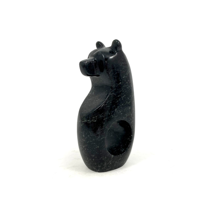 Spirit Bear