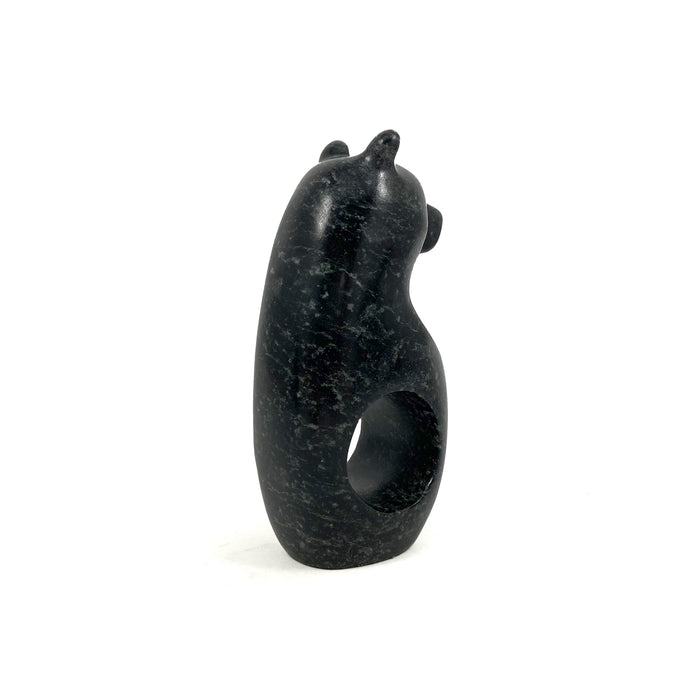 Spirit Bear