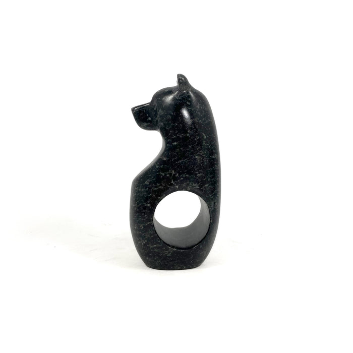 Spirit Bear