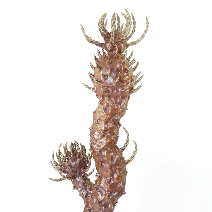A place you can't go back to - Sculpture