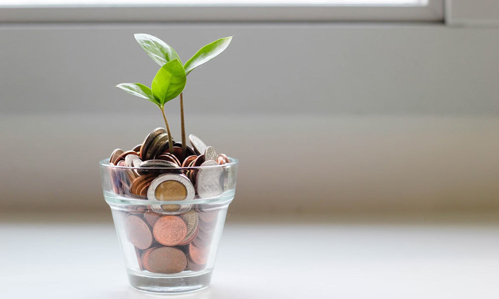 sprout growing in a pot of change/money photo by micheile henderson