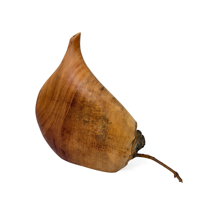 Large Vase with Natural Growth