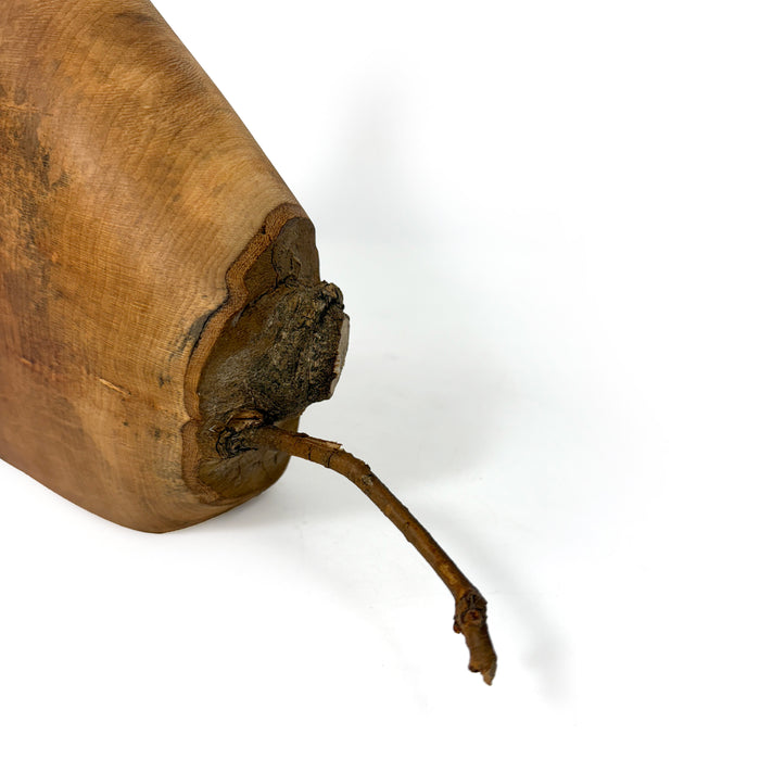 Large Vase with Natural Growth