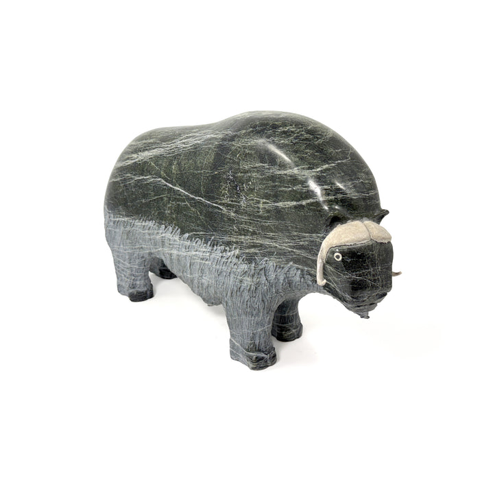 Musk Ox Carving by Jomie Aipeelee