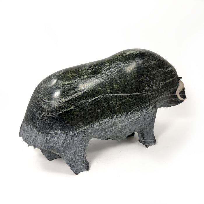Musk Ox Carving by Jomie Aipeelee