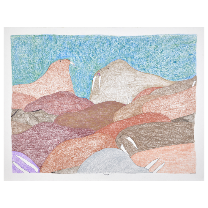 Top Spot - Original Drawing
