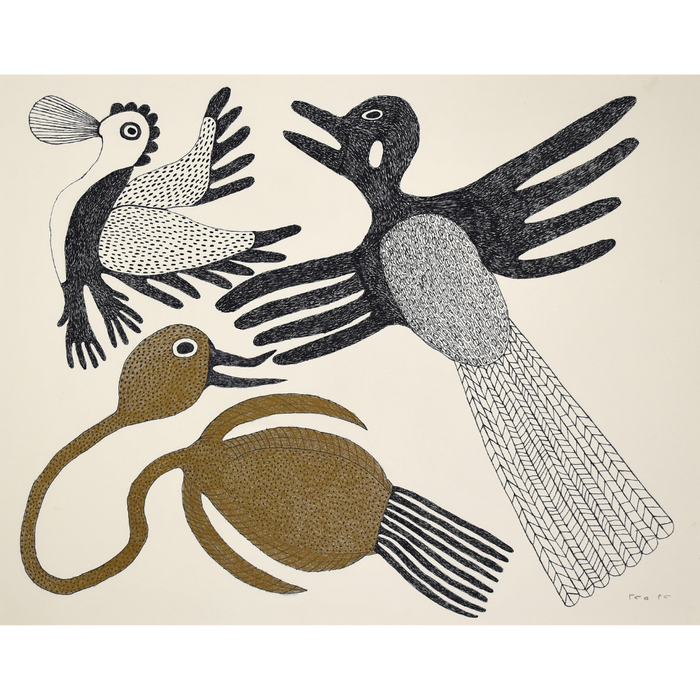 Original Drawing - Expressive Birds