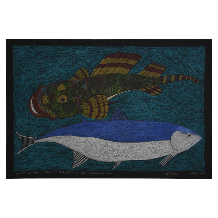 Sculpin Romancing Char - Original Drawing