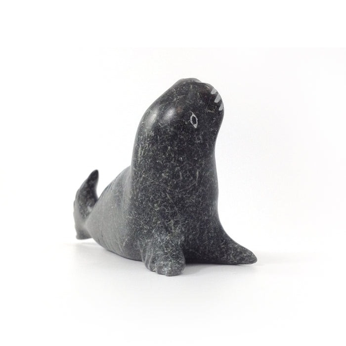 Seal