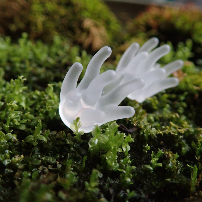 Sea Anemone Brooch